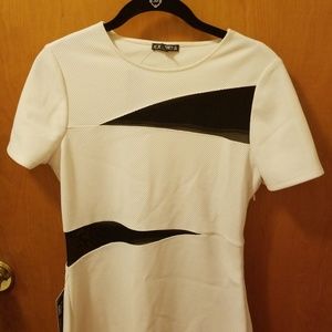 White Black Striped Dresd